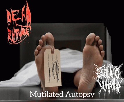 Defiling Humanity : Mutilated Autopsy